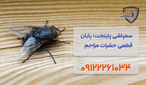 سمپاشی-مگس-در-تهران